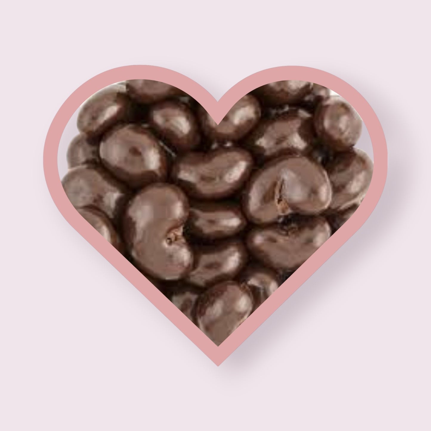 Marich Dark Chocolate Sea Salt Cashews Chocolate Pixie Candy Shoppe