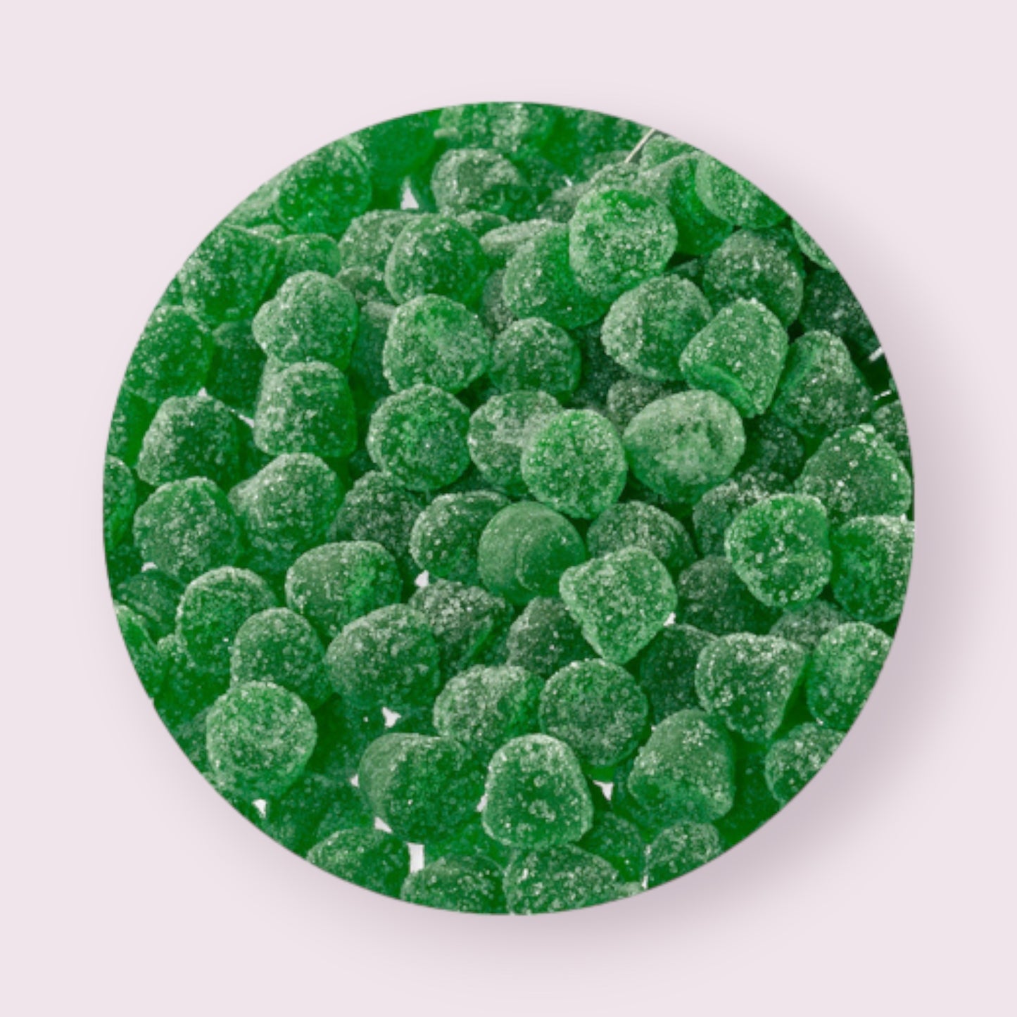 Venco Eucalyptus Gums Licorice Pixie Candy Shoppe