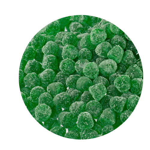 Venco Eucalyptus Gums Licorice Pixie Candy Shoppe