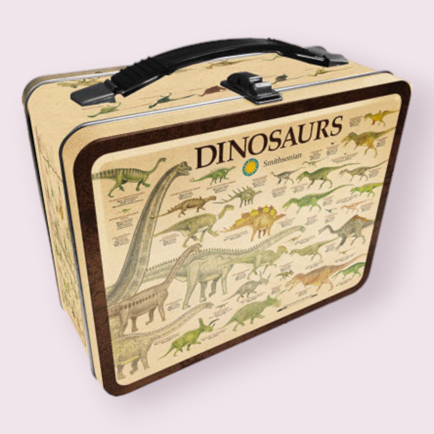 Dinosaur Lunchbox Lunchboxes Pixie Candy Shop