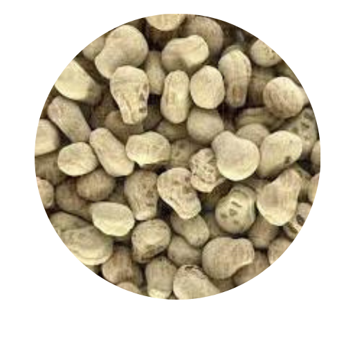 Salted Skulls Licorice Licorice Pixie Candy Shoppe