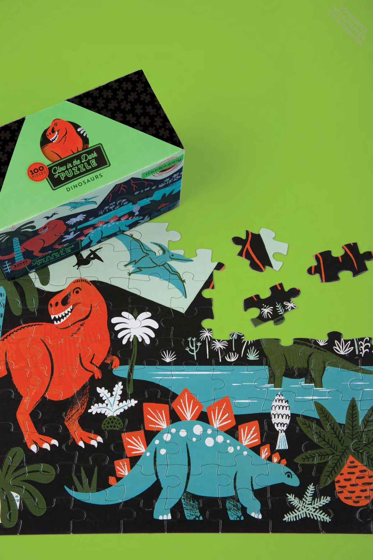 Dinosaurs Glow-in-the-Dark Puzzle Raincoast Distribution Group