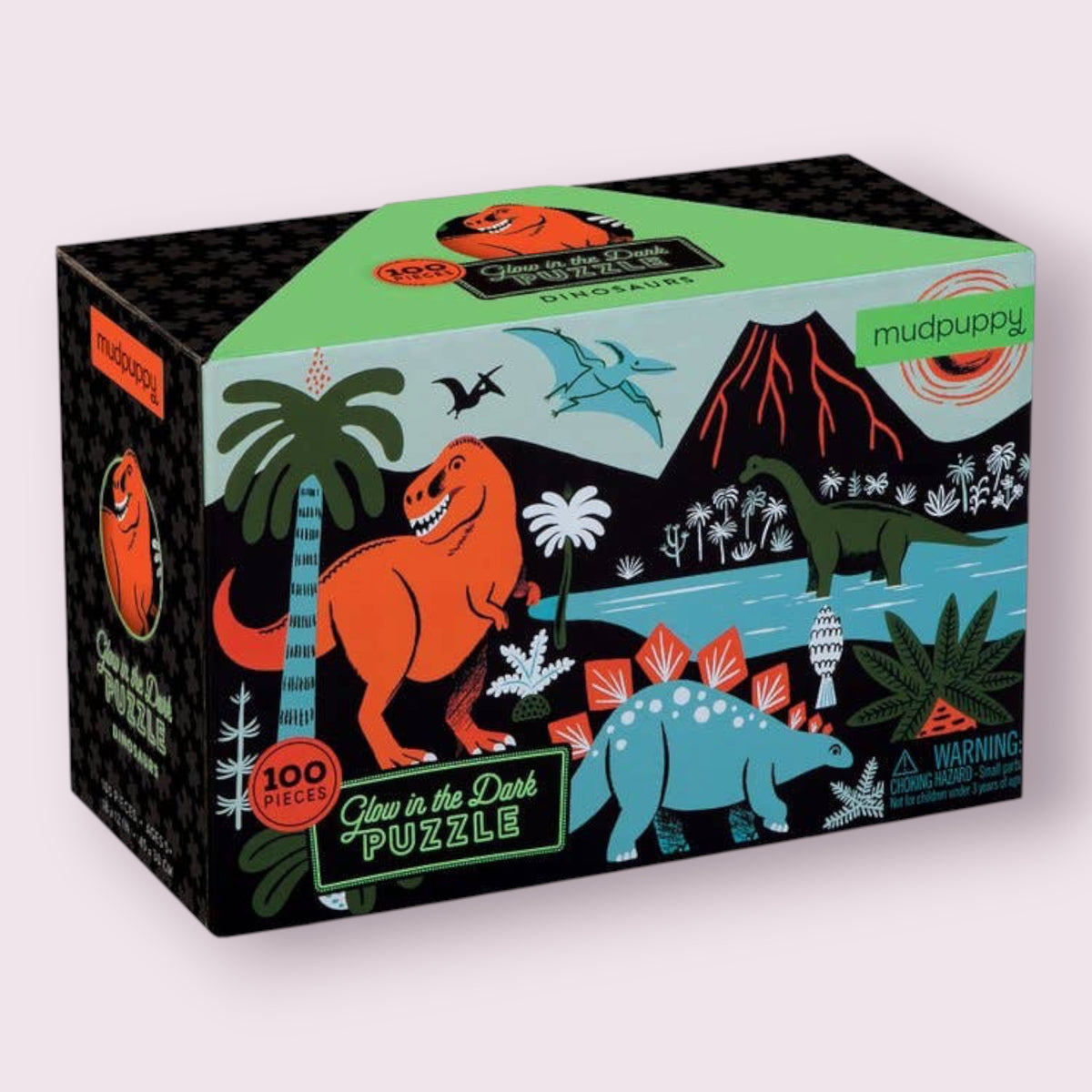 Dinosaurs Glow-in-the-Dark Puzzle Raincoast Distribution Group